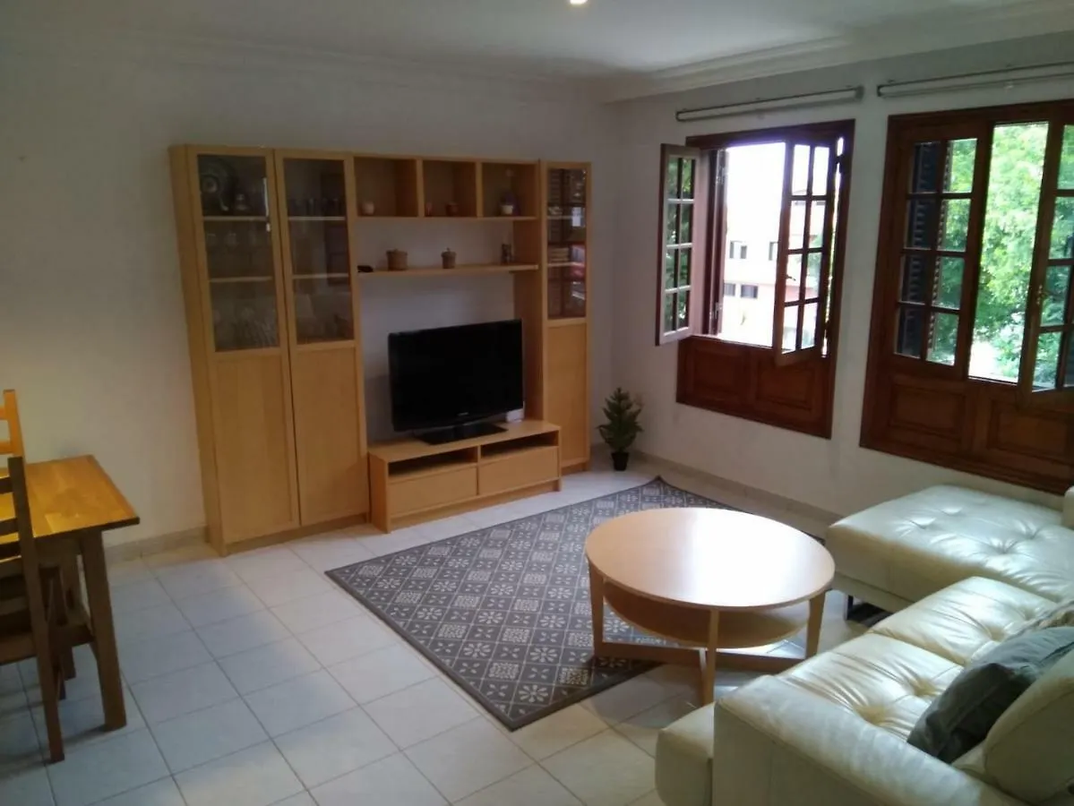 Lovely House In The Best Area Of La Orotava Apartment Spain